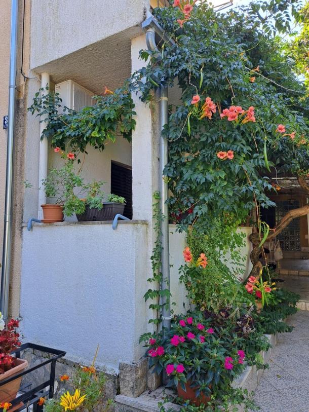 Accomodation Mirjana Rooms Poreč Kültér fotó